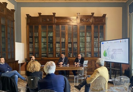 Seconda Riunione Comitato d’Indirizzo