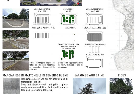 CENTRO DIREZIONALE 01