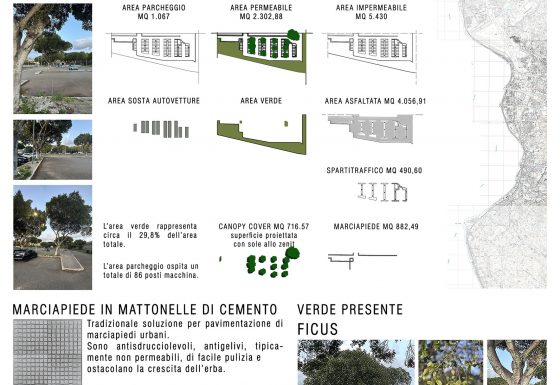 CENTRO DIREZIONALE 02