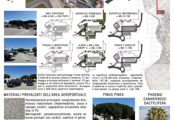 AEROPORTO TITO MINNITI